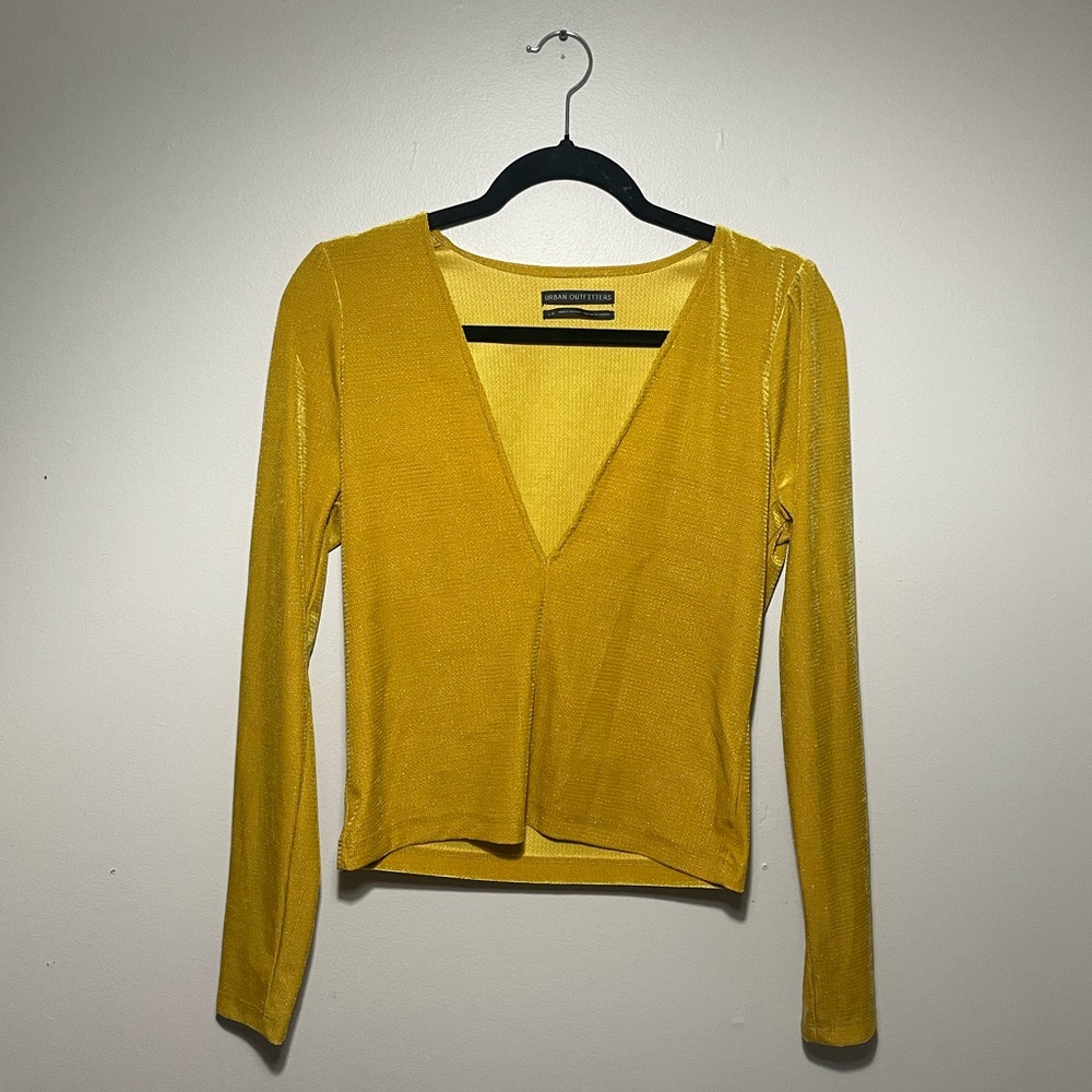 Shimmer Plunging V-Neck Long Sleeve Top